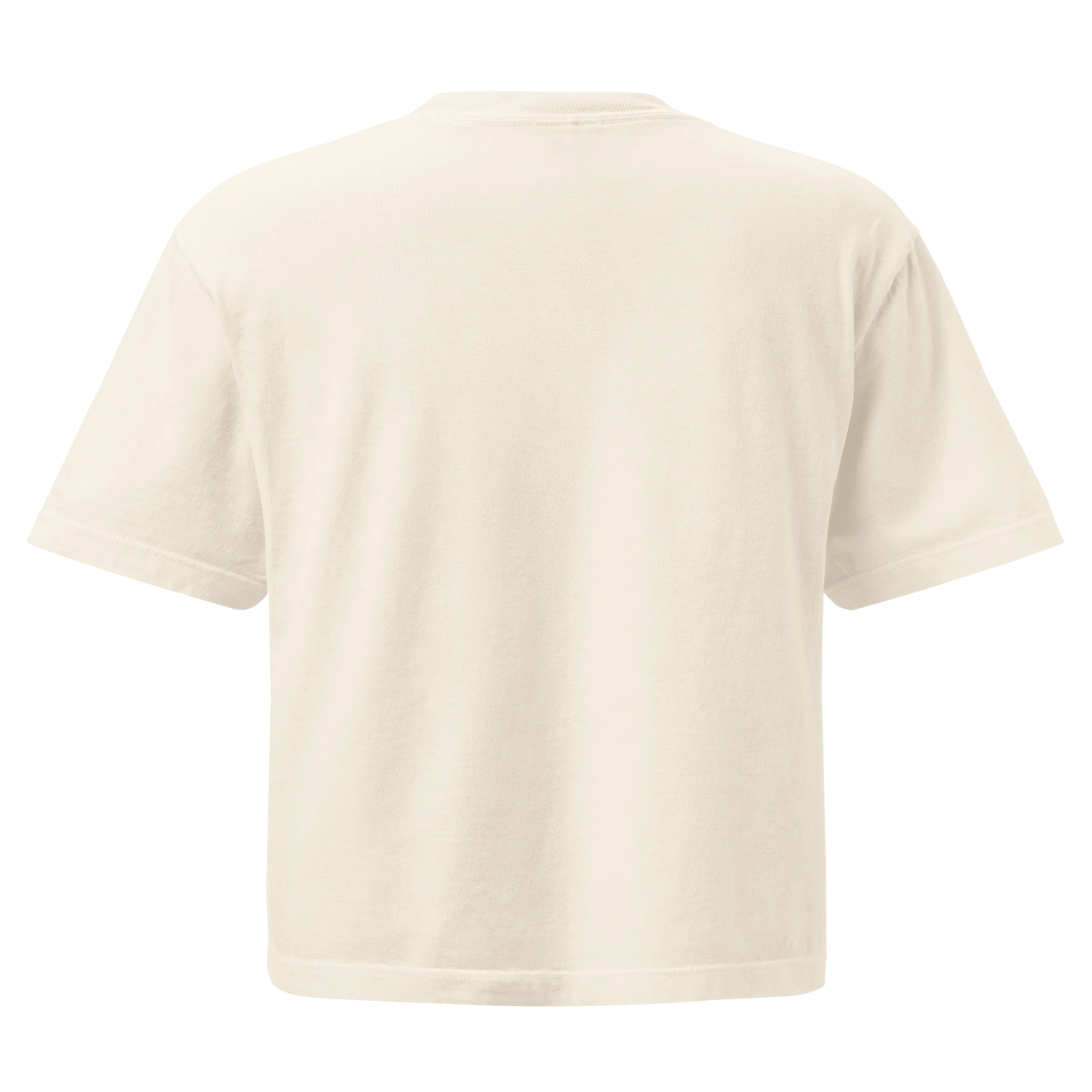 Catnip Cat Women's Box T-Shirt product image (10)