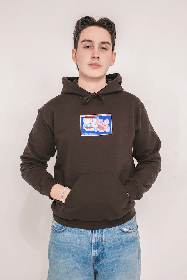 Twin Bears Hoodie - Brown product image (4)