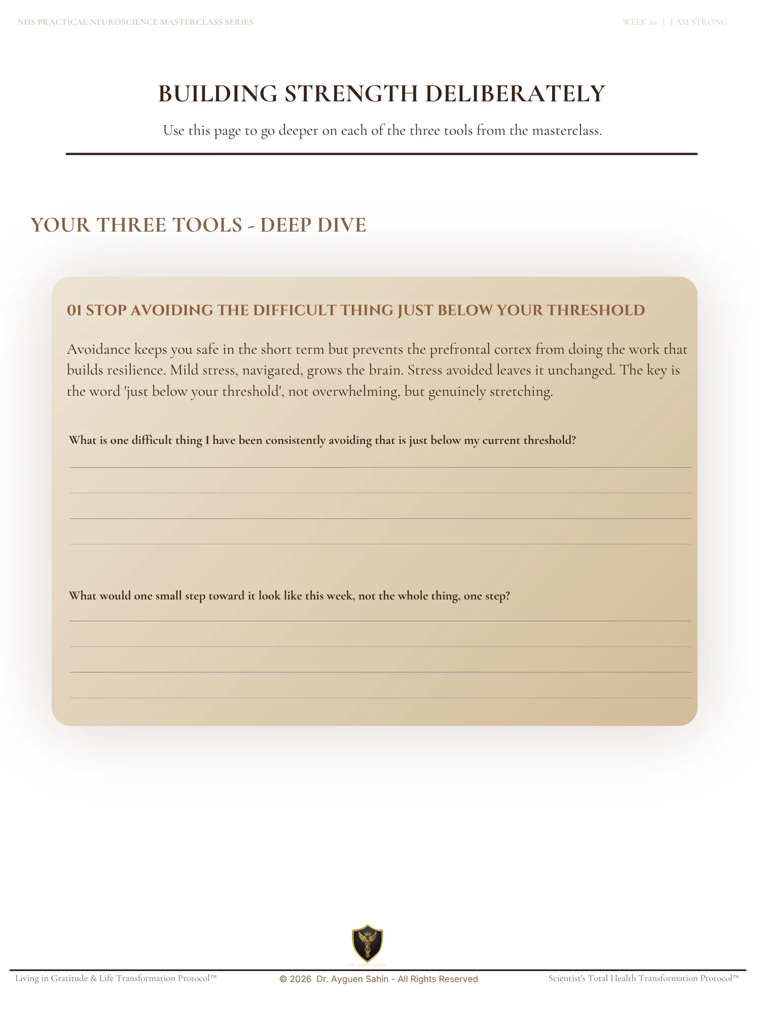THE STRENGTH AUDIT product image (4)