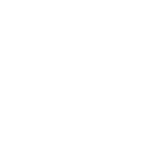 NVR