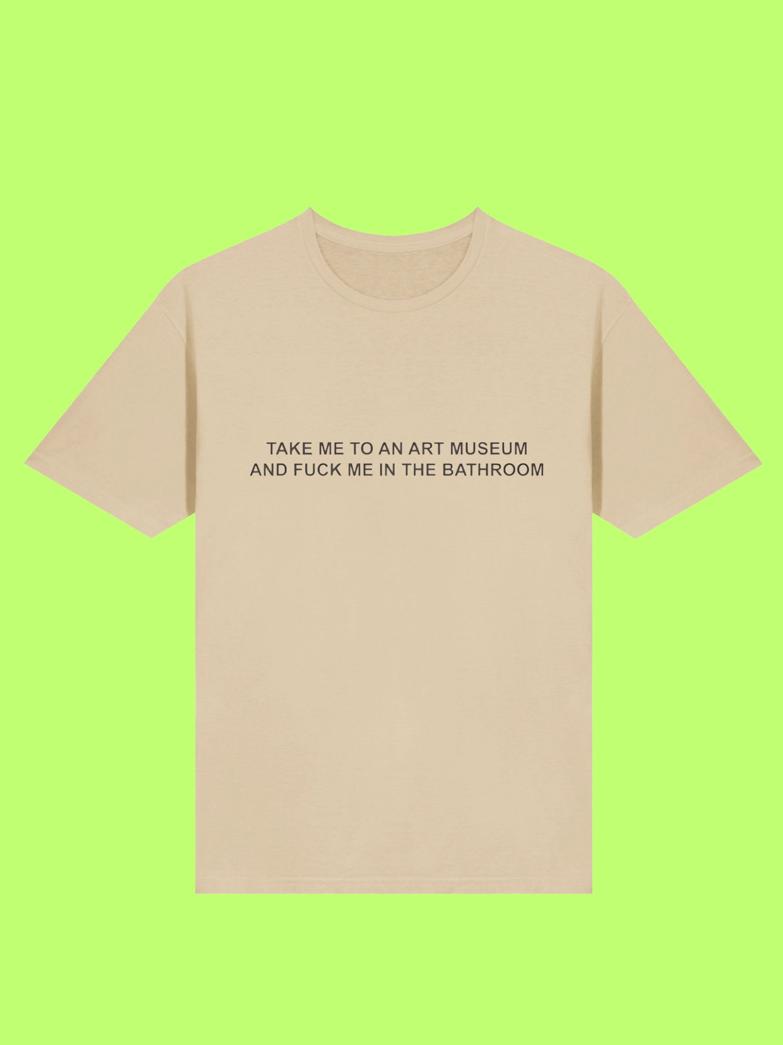 Take Me To An Art Museum And Fuck Me In The Bathroom Shirt product image (169)