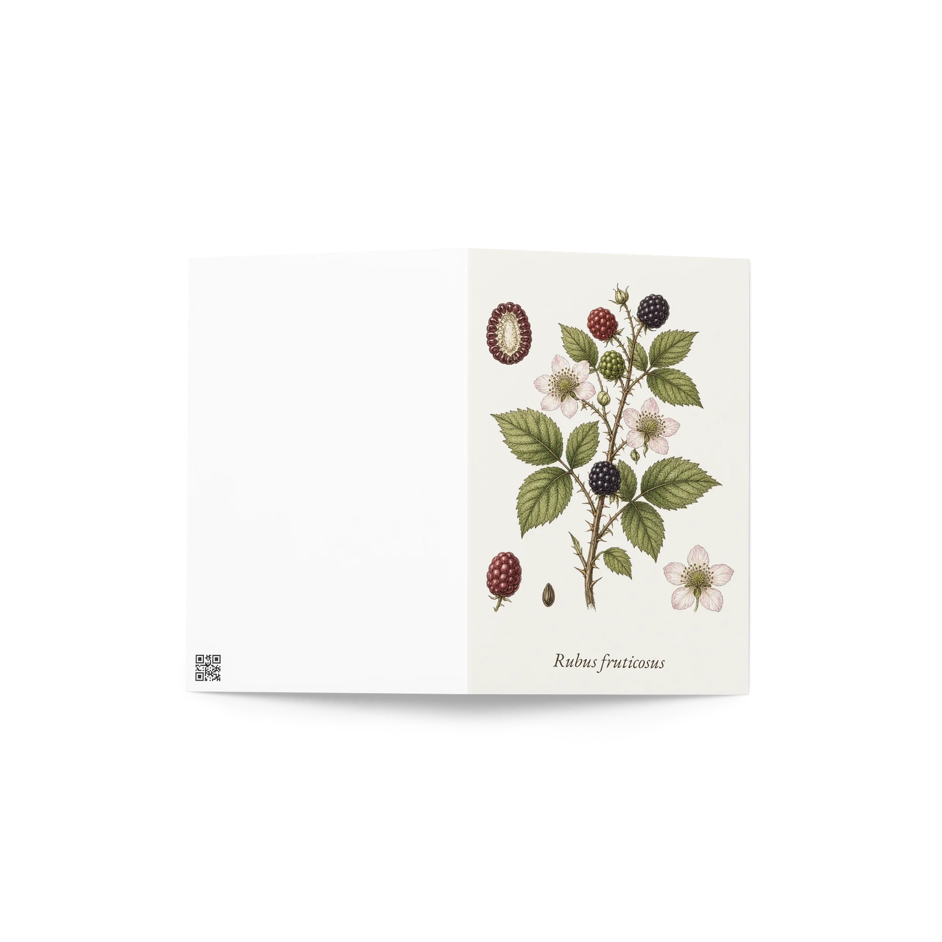 Vintage Botanical Blackberry Greeting Card product image (4)