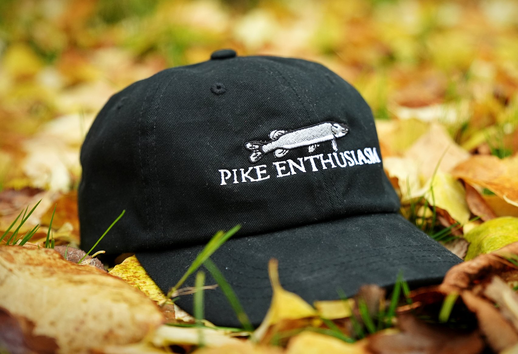 Pike Enthusiasm Dad Hat product image (7)