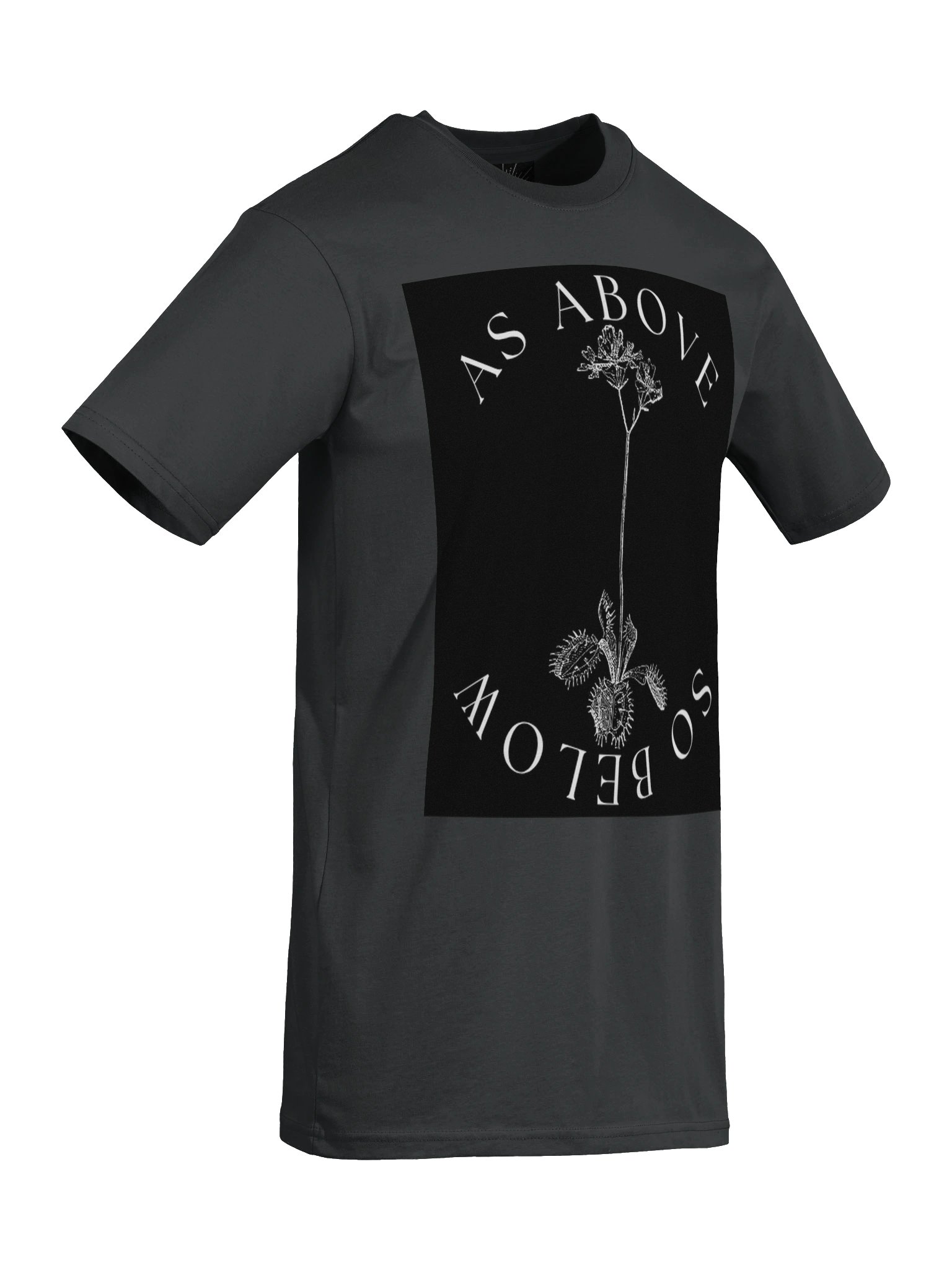 AS ABOVE, SO BELOW TEE product image (8)