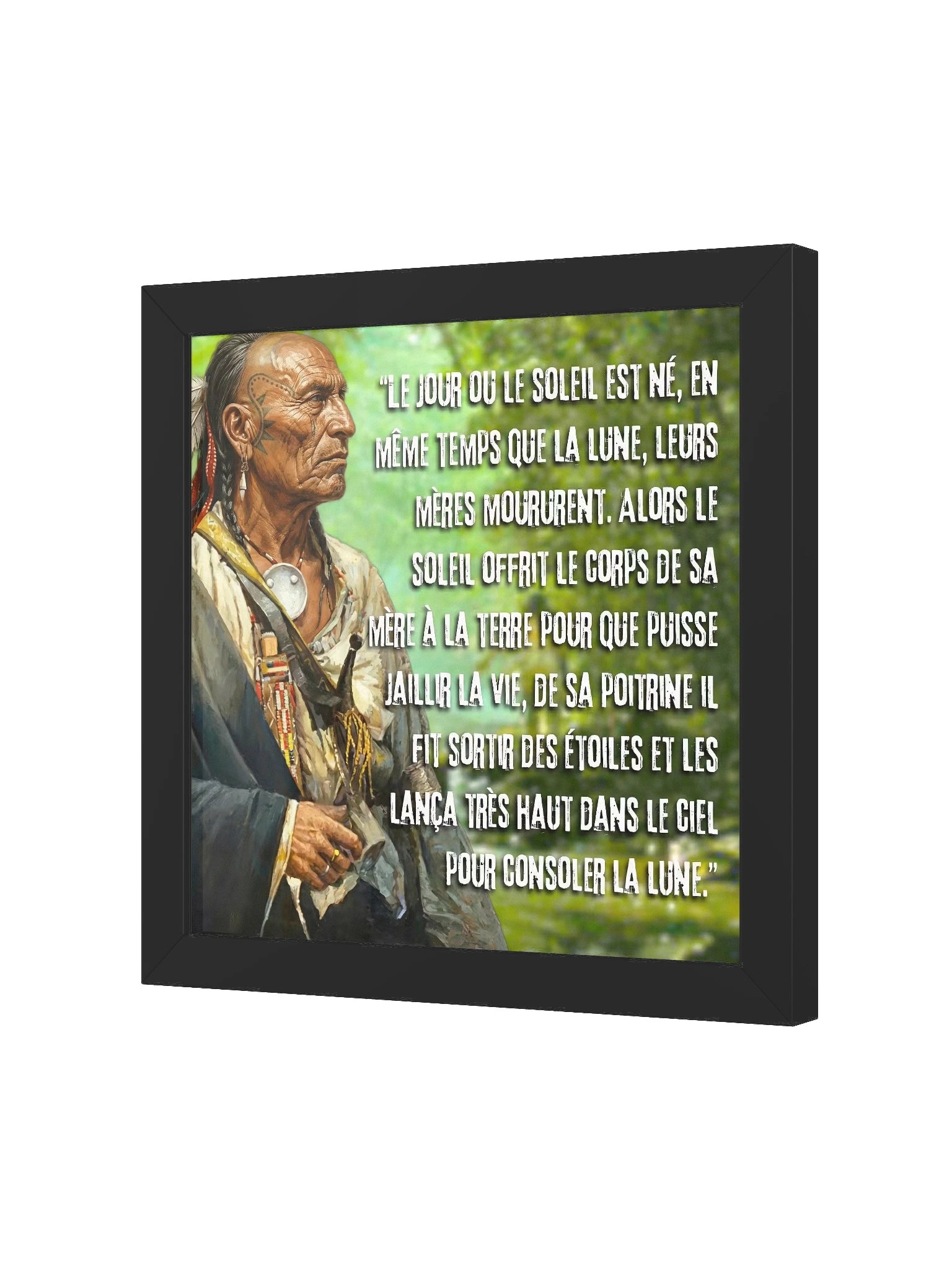 Sagesse Mohican - Tableau product image (2)