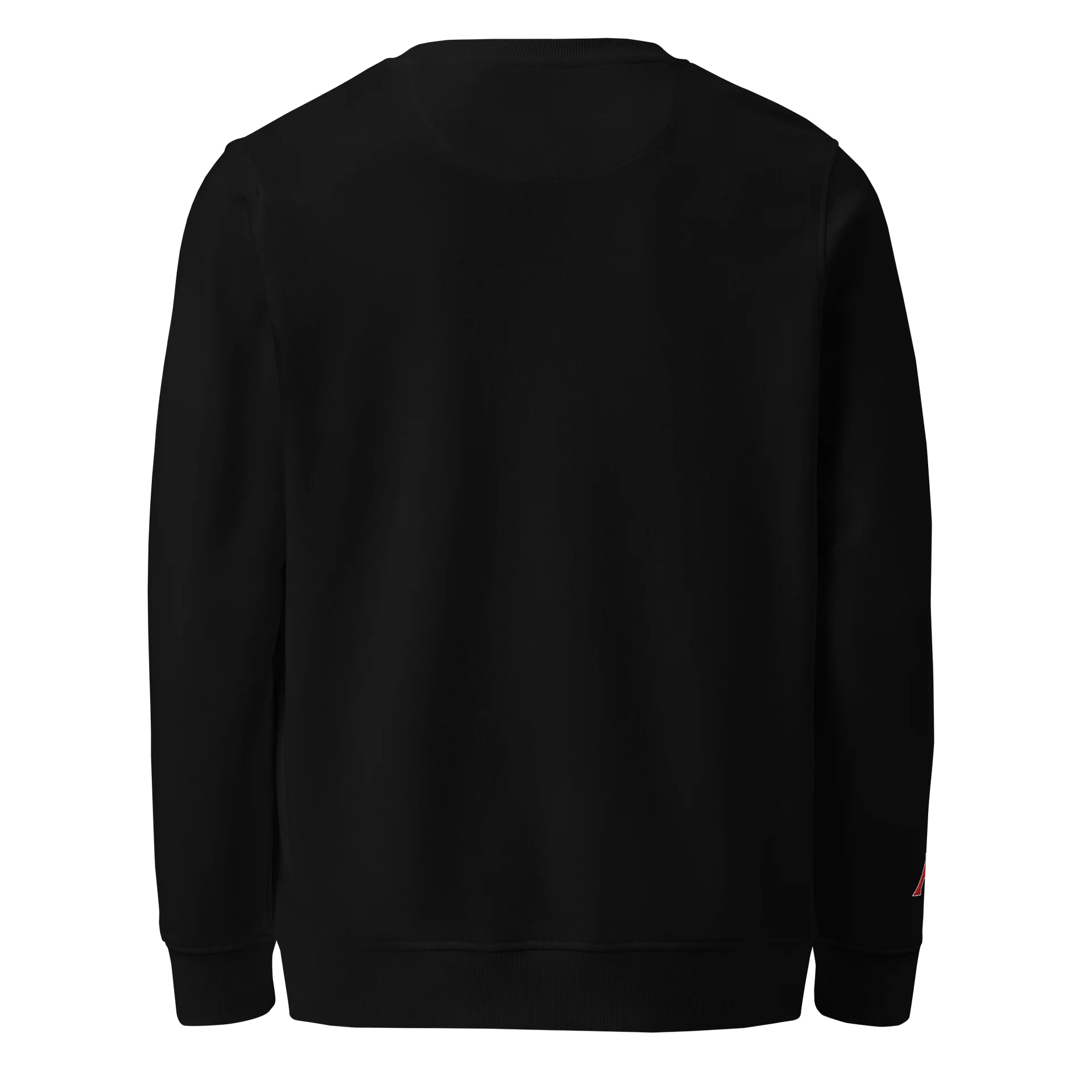 God Family Country Crewneck product image (3)