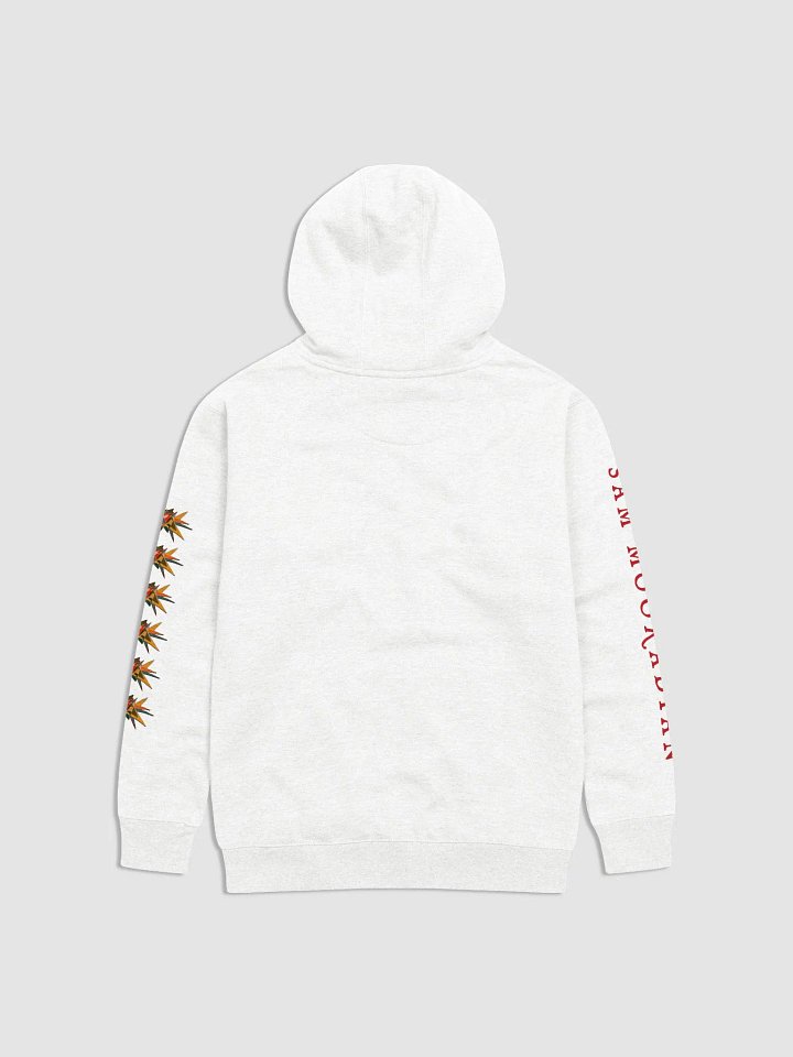 Bad Brain Hoodie product image (2)