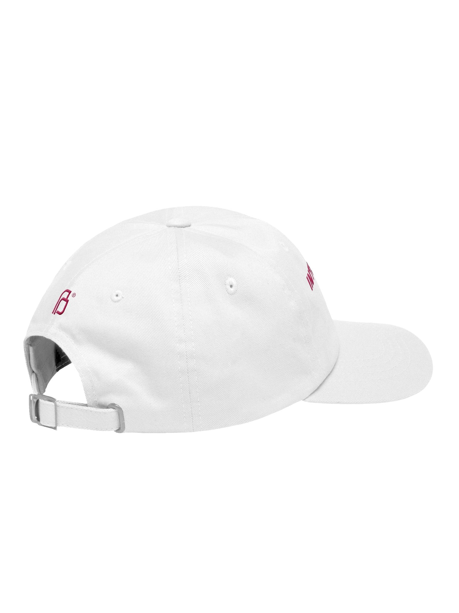 Intersectional Feminism Hat product image (8)
