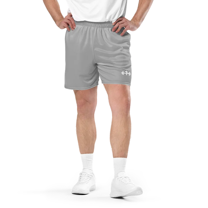 His House Mens Performance Mesh Shorts - Silver product image (1)