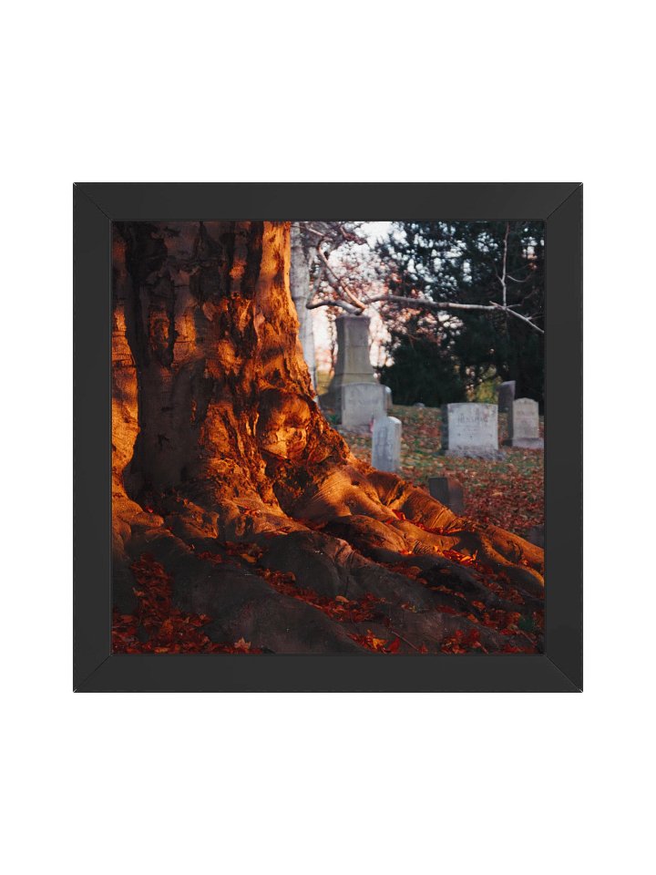 Life & Death Framed Matte Poster product image (5)