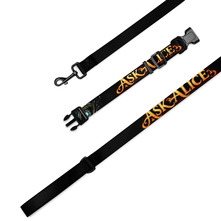 Ask Alice Leash & Collar Set product image (1)