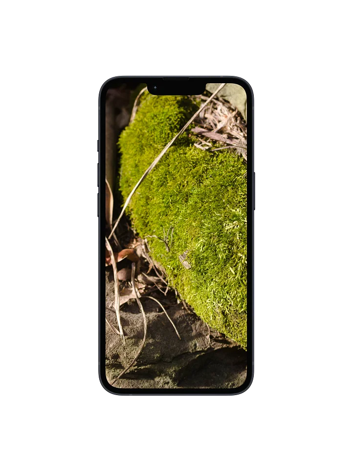Moss on the Rocks Digital Wallpaper Set product image (1)