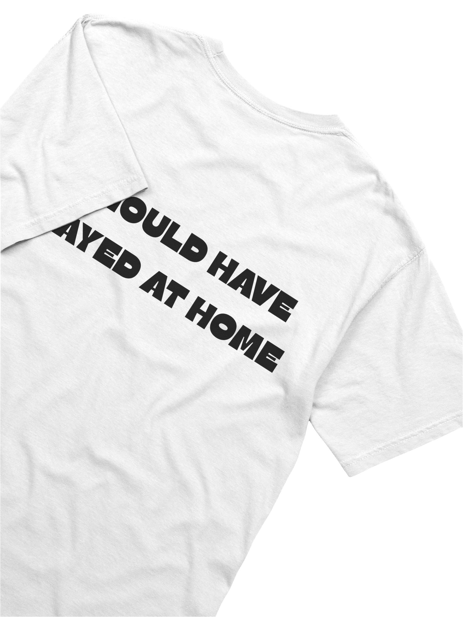 I Should've Stayed At Home T-Shirt product image (16)