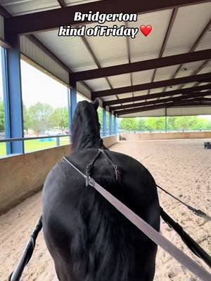 Just a horse girl living her #bridgerton life. 😍🖤🌹  #friesian #carriagedriving #rockwall #horselife @DestinyAcres @Jordan Inman 
