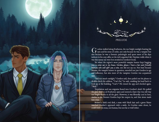 The Doctor's Wolf DUET (Dust Jacket) product image (4)
