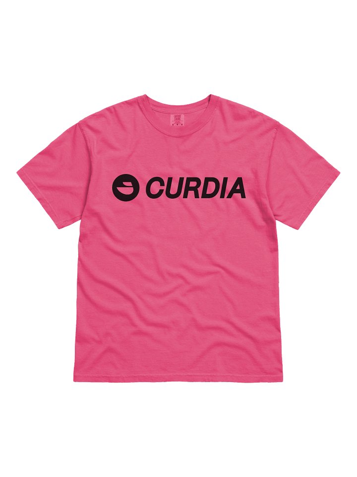 Curdia Black Brand Tee product image (2)