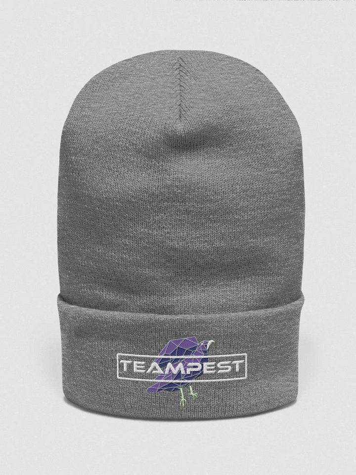 TeamPEST Gray Beanie product image (1)