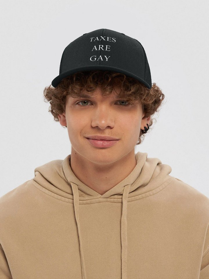 Taxes Are Gay Hat product image (1)
