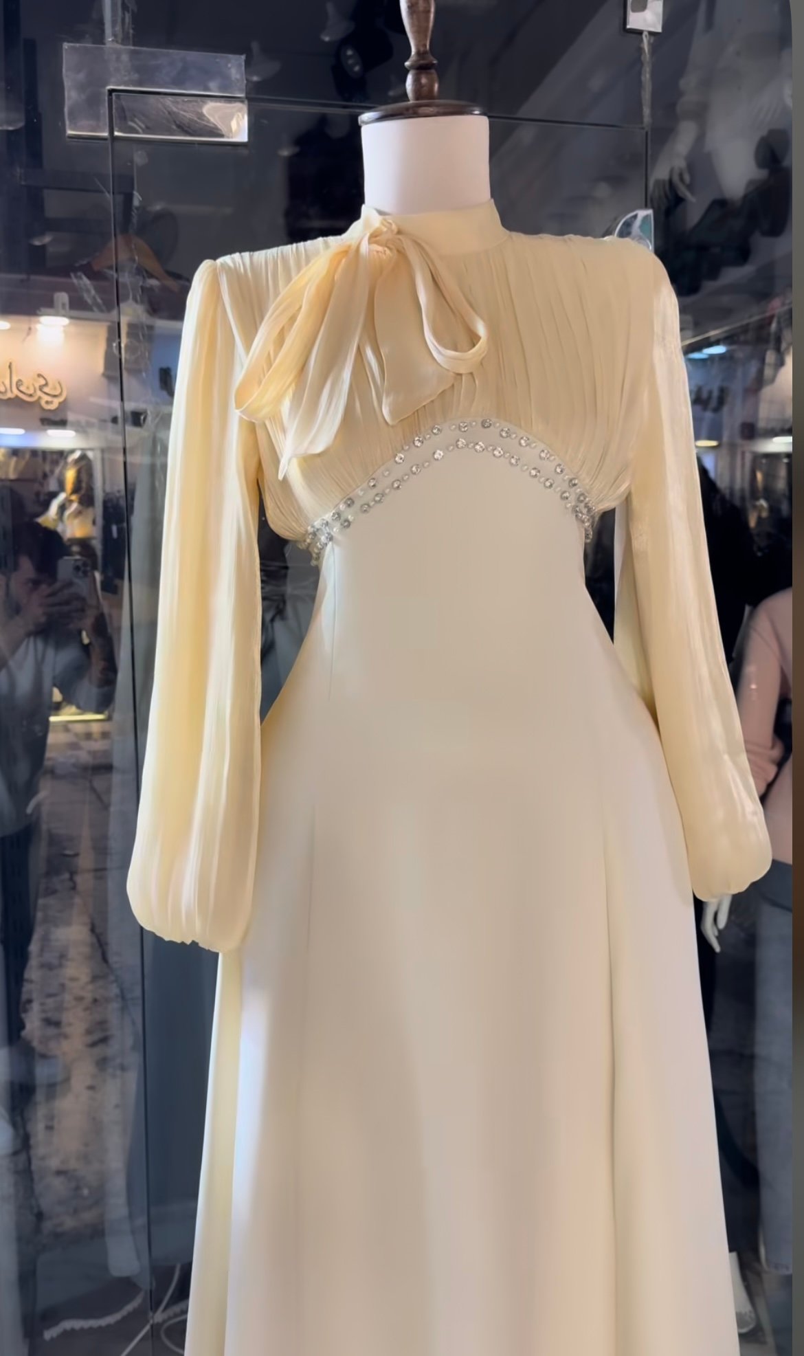 Luxury dress product image (2)