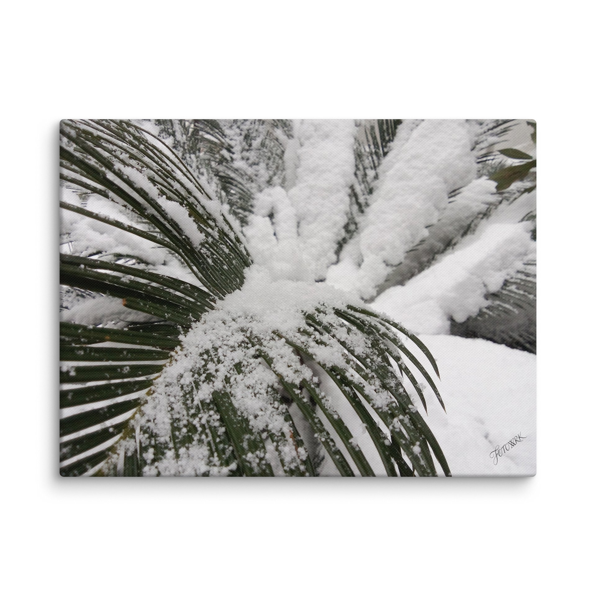 Crystalline Emerald – Fine Art Canvas product image (1)