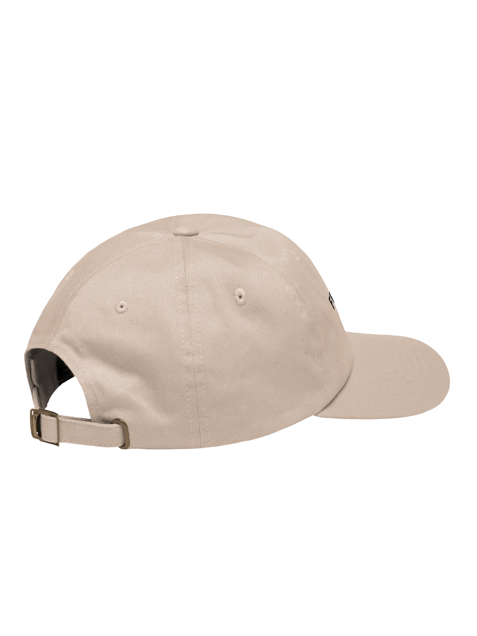 Frenchie Dad cap product image (12)