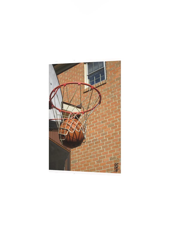 Nothing But Net product image (8)
