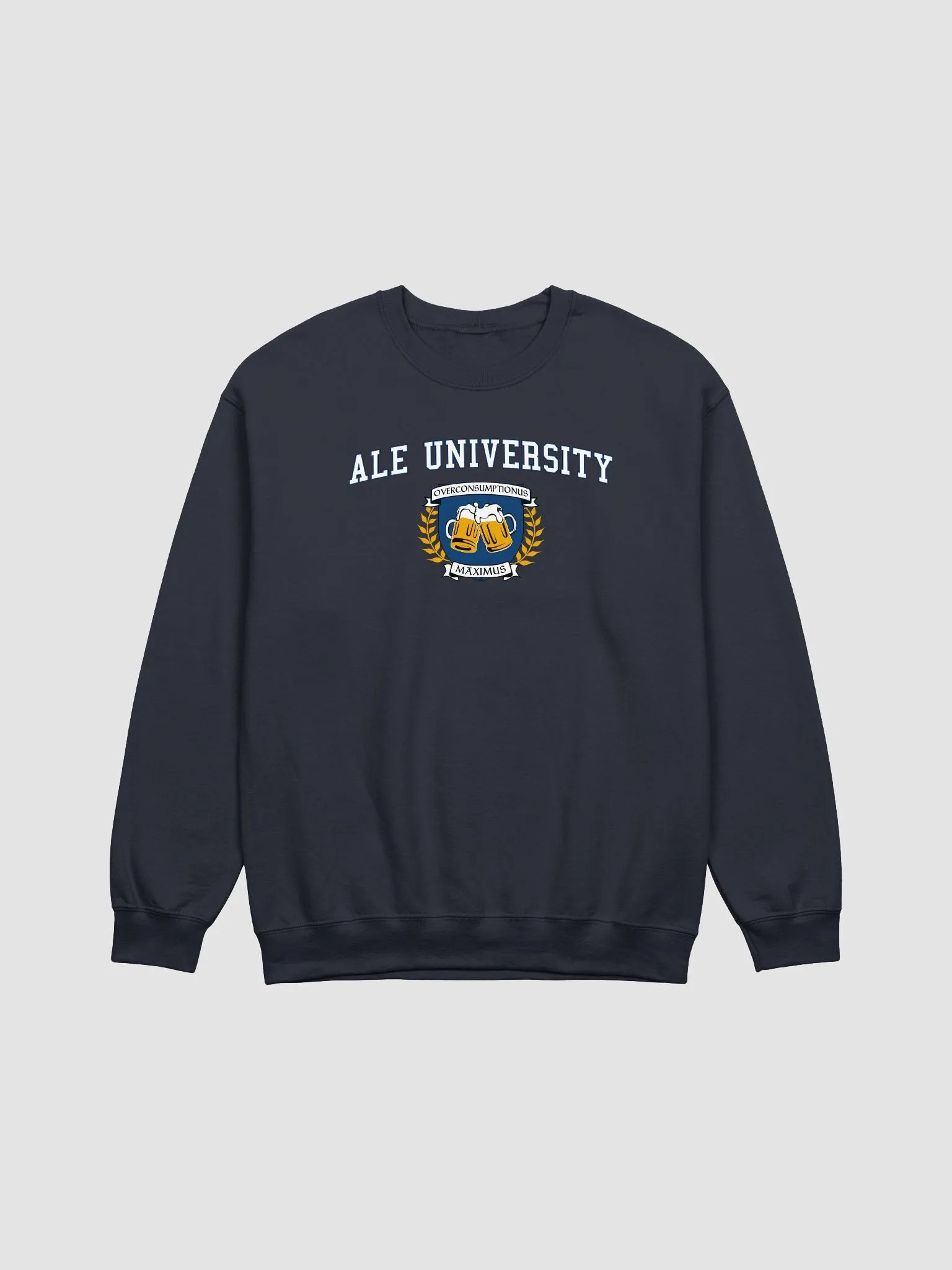 Ale University Sweatshirt product image (9)