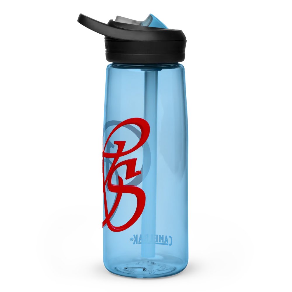 WS Water Bottle product image (4)