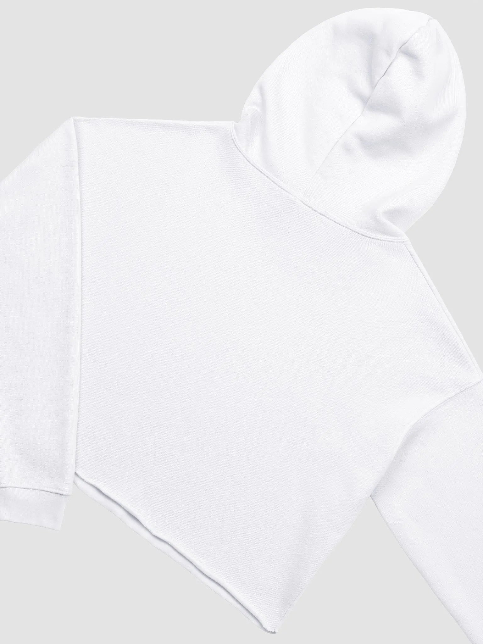 Crop PTV Hoodie product image (4)