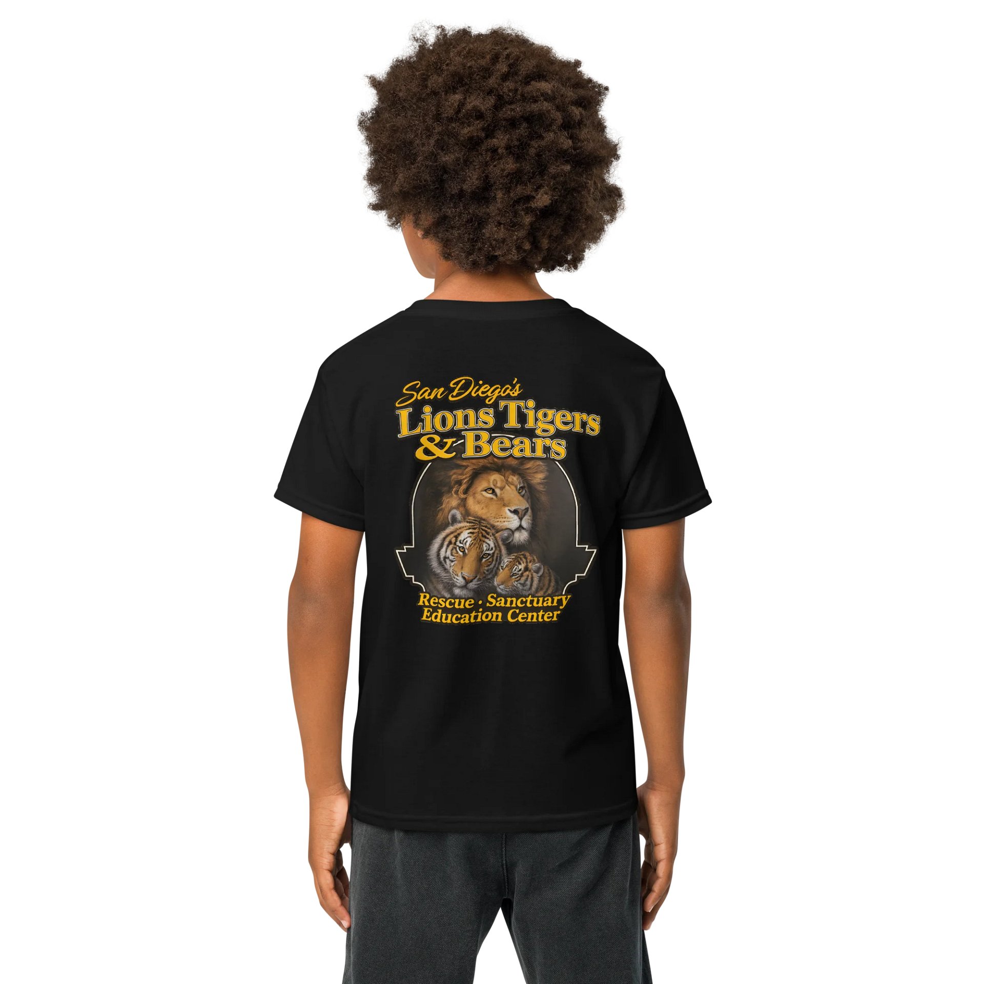 LTB Legacy Logo Youth Tee product image (7)