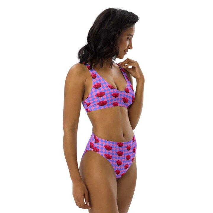 Rosy bikini {melon and periwinkle} product image (1)