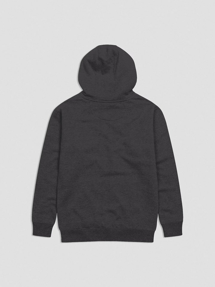 DT Classic Logo Hoodie product image (4)