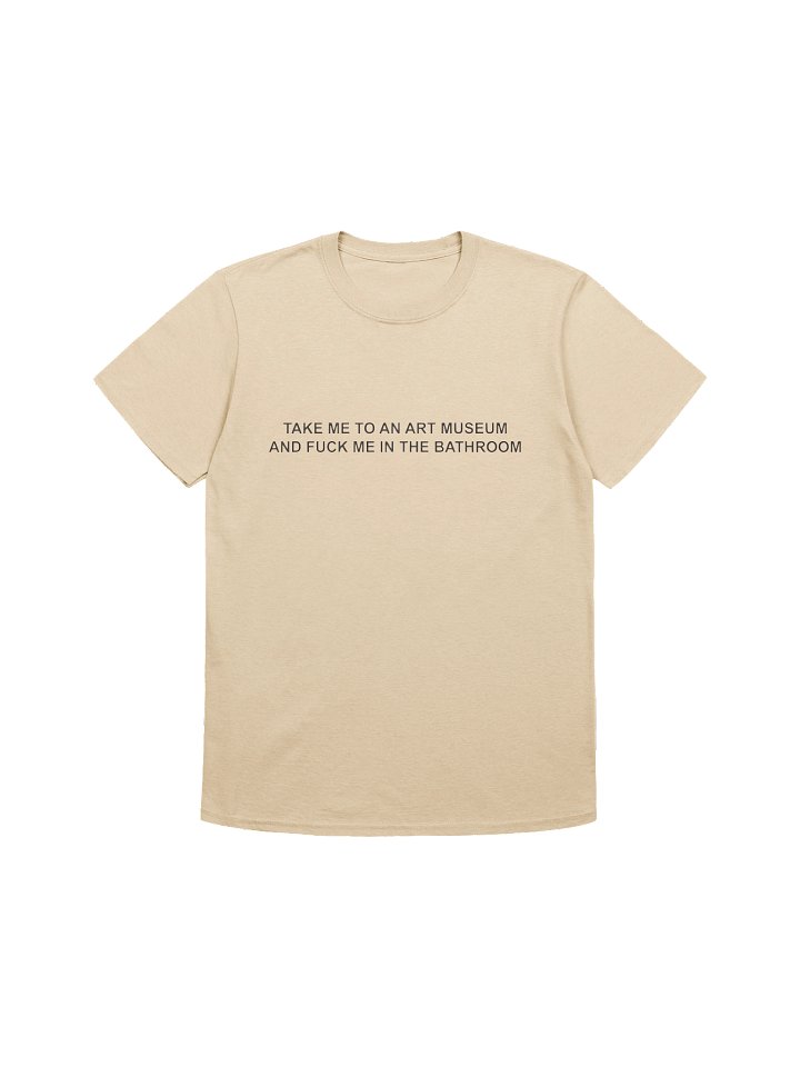 Take Me To An Art Museum And Fuck Me In The Bathroom Shirt product image (1)