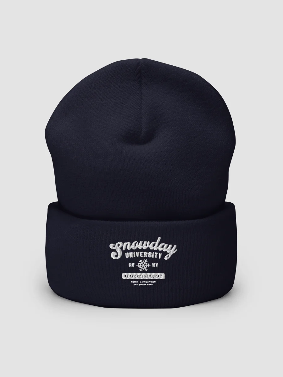 Snowday University beanie product image (2)