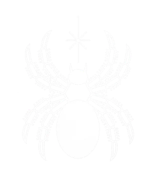 tarantulakat