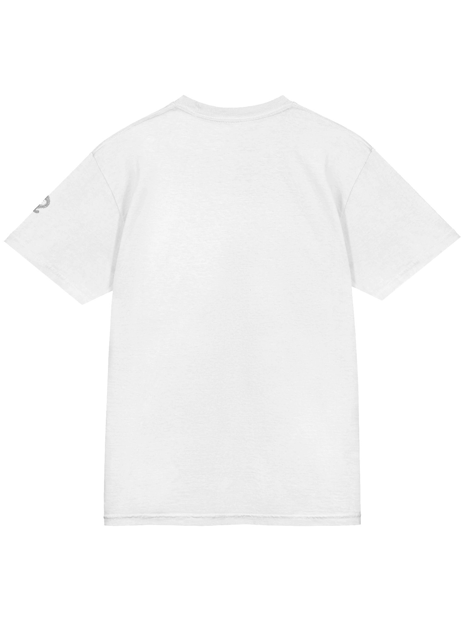 #370 - The Atlantic's Cradle Tee product image (12)