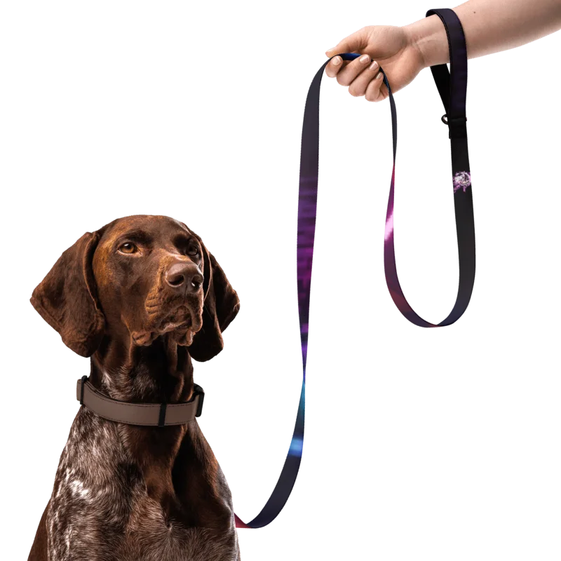 Doggo Control Addon product image (2)