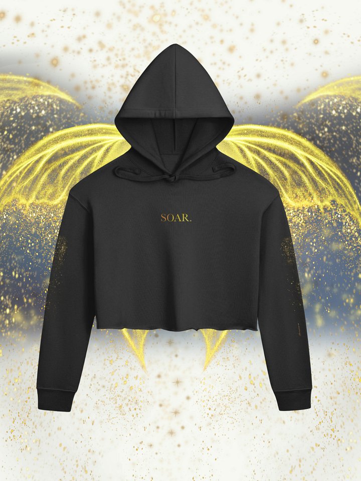 "SOAR" Cropped Hoodie [Street Team] product image (2)