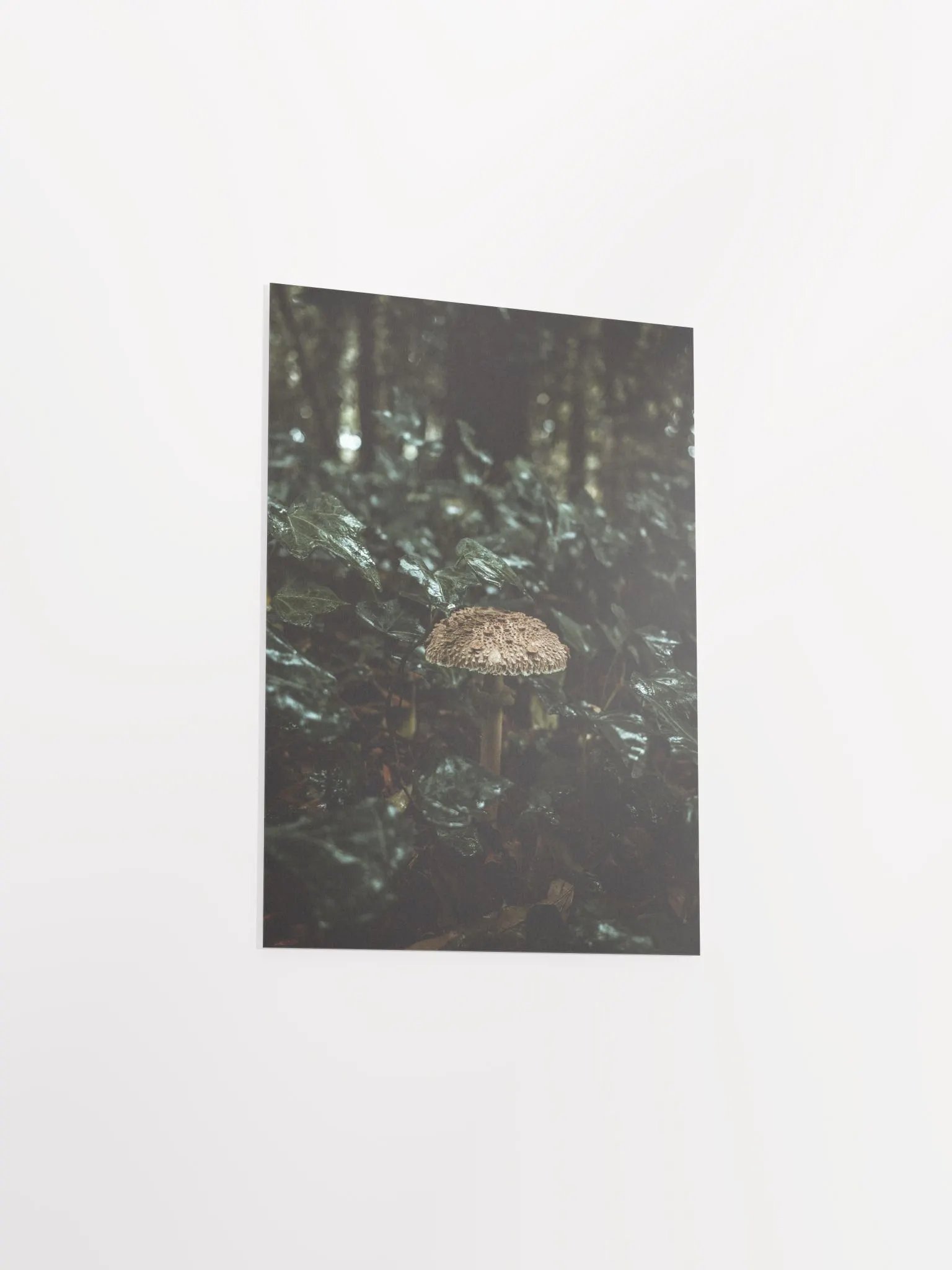 Frade product image (10)