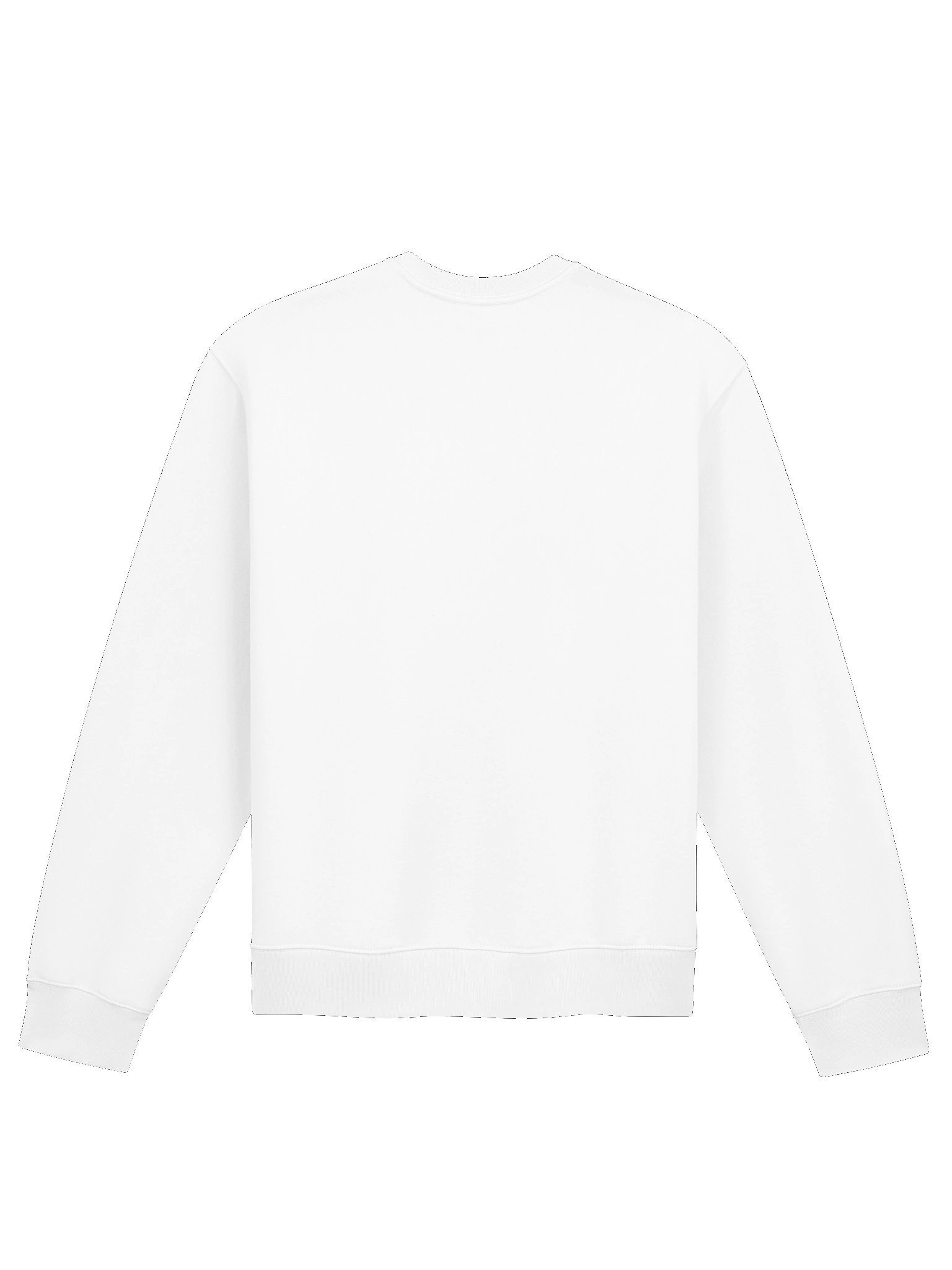 CS Oversized Sweatshirt product image (26)