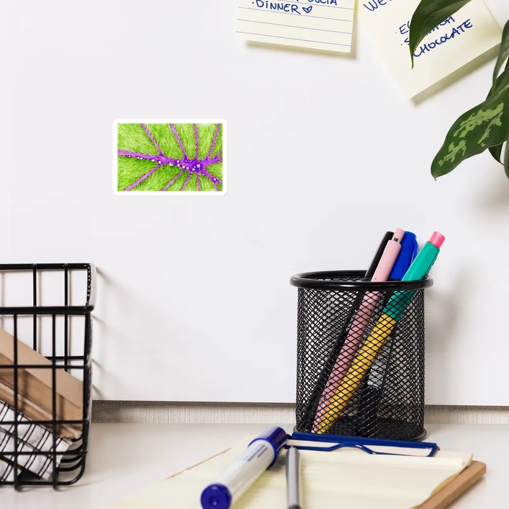 Magnet - 2022 Sketch 40 product image (12)