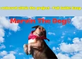 Community Power's tag thumbnail