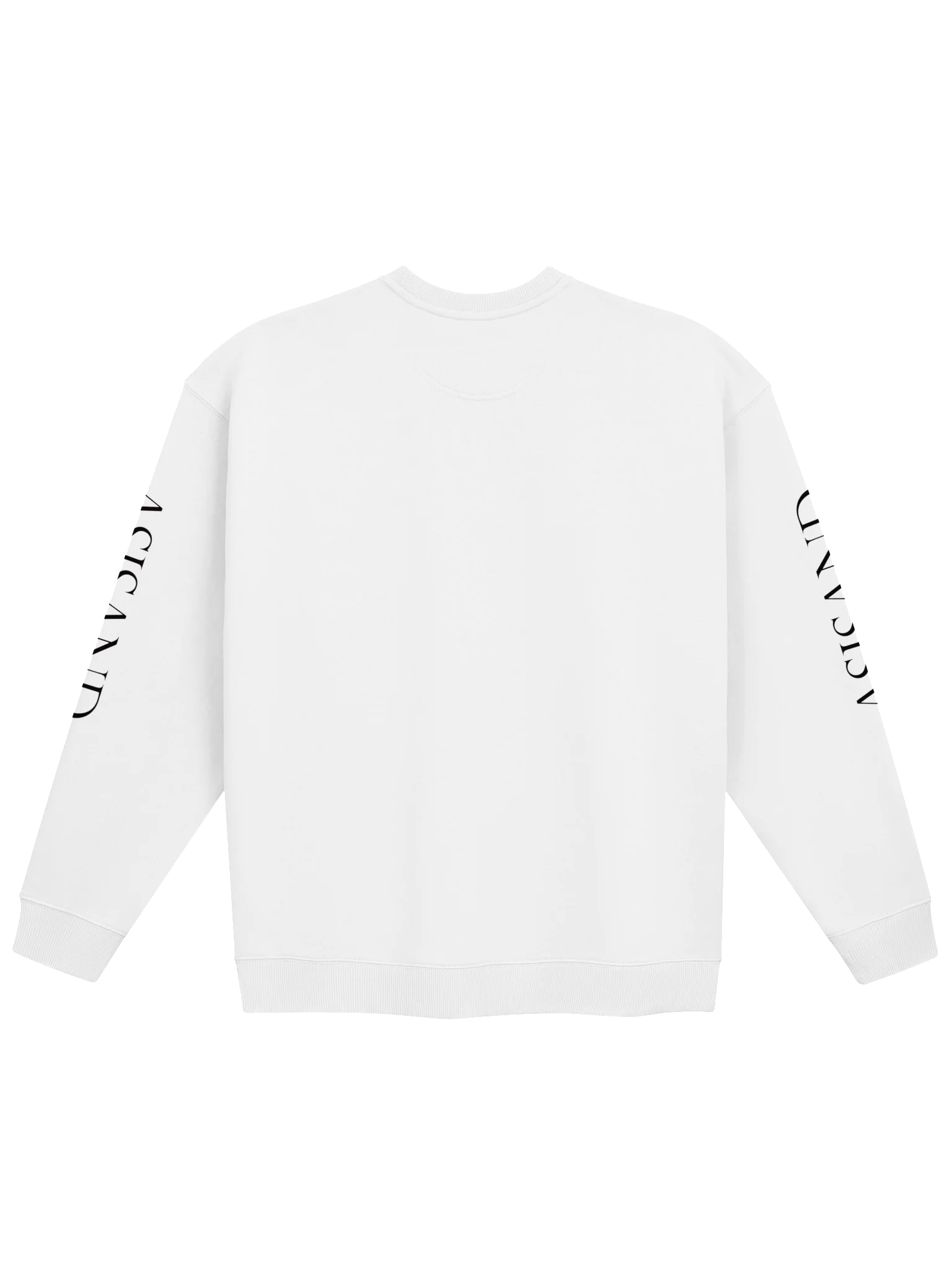 001 ASSEMBLY UNISEX OVERSIZED SWEATSHIRT WT 26 product image (2)