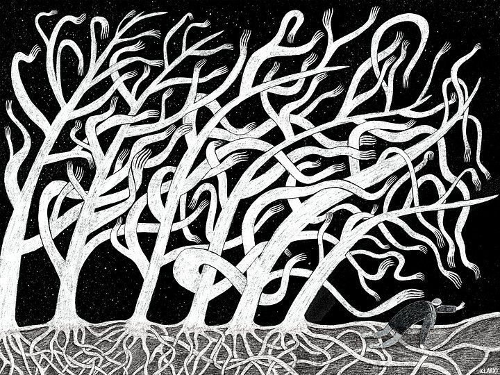 FOREST poster product image (1)