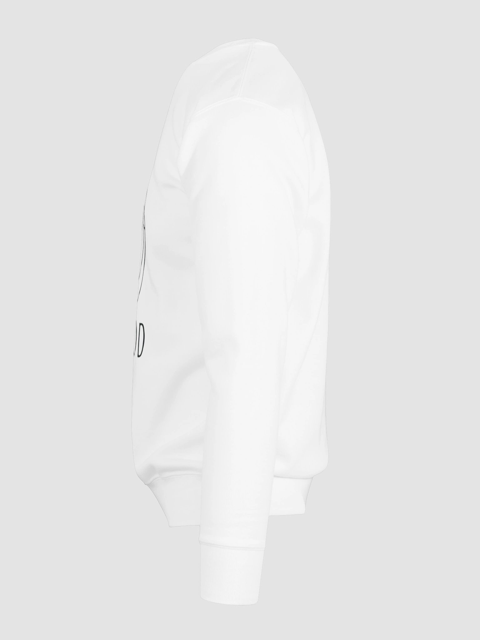 Flood Logo Sweatshirt (premium cotton) product image (57)