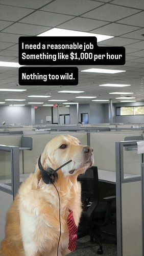 Nothing too wild, just $1,000/hr 😆 #salary #workmemes #workworkwork #officelife