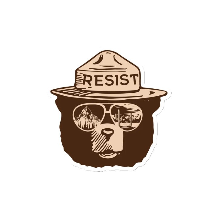 Smokey RESIST Mountain Forests Magnet 3 SIZES! Alt National Parks Resistance Rangers product image (2)