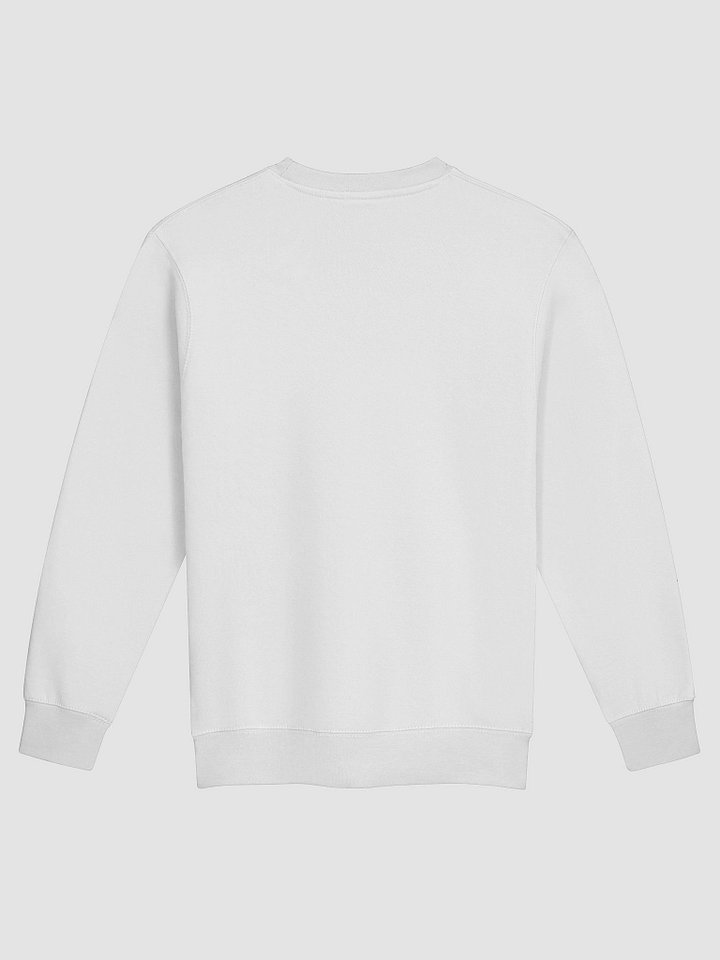 STATUS: IN TRAINING | Professional Identity Sweatshirt product image (2)