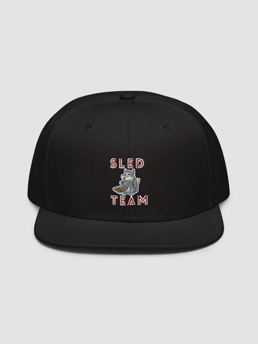 [Docstradamnus] Snapback - Otto Cap 125-978 product image (2)