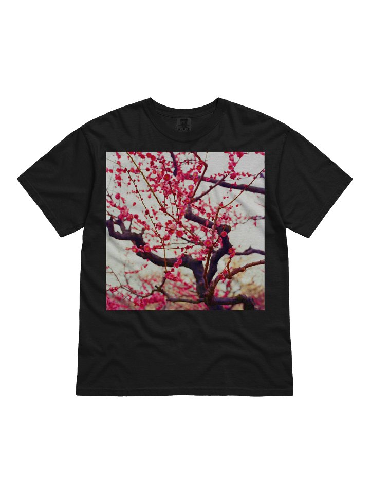 Teddy Bass Plum Blossom product image (1)